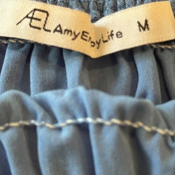 AEL Amy Enjoy Life Studio Marion Bustier Blue Button A-Line Midi Dress Size M - Picture 9 of 12
